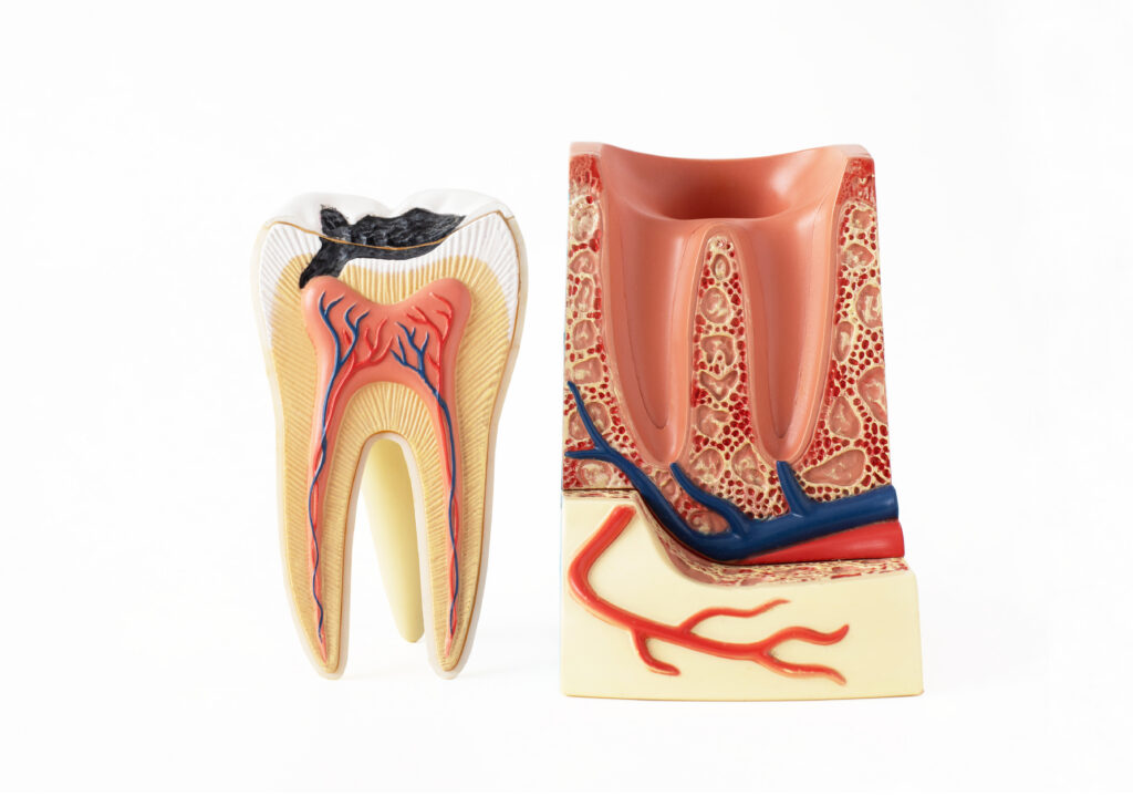 Root canal wilmington